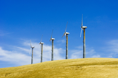 Texas Sets New Record For Wind Energy Production